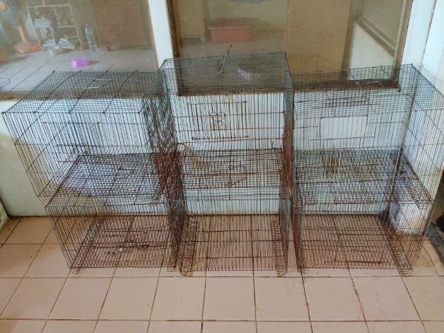 กรงนกมือสอง  รูปที่ 3