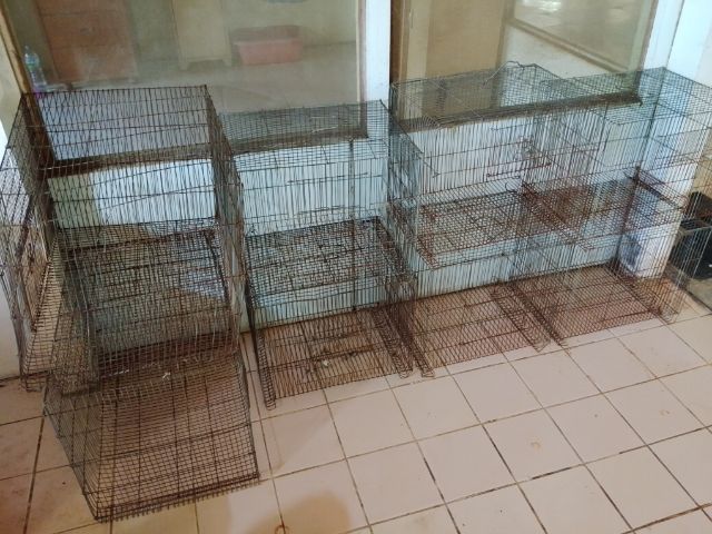 กรงนกมือสอง  รูปที่ 6