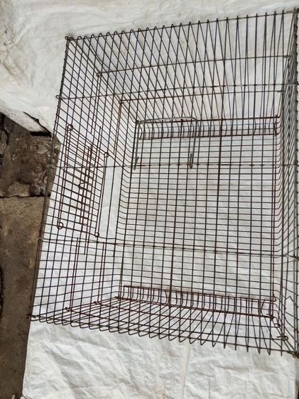 กรงนกมือสอง  รูปที่ 4