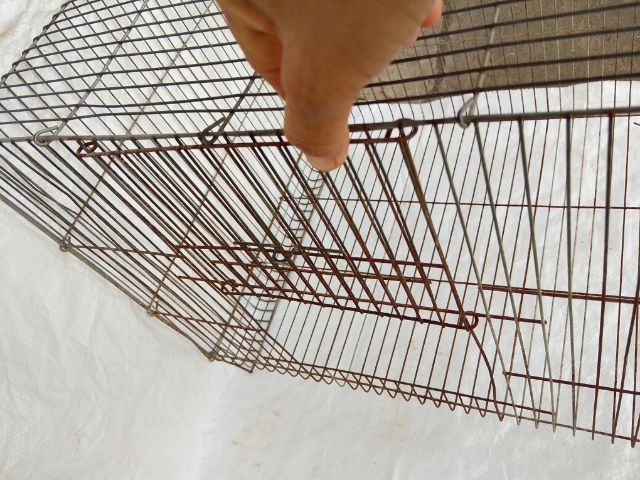 กรงนกมือสอง  รูปที่ 5