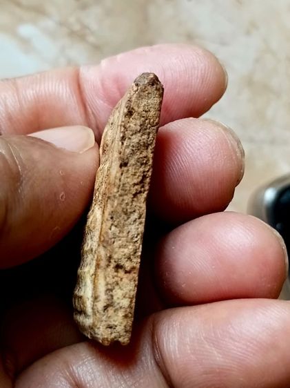 สมเด็จบางขุนพรหมกรุใหม่ ปี09 วัดใหม่อมตรส รูปที่ 5