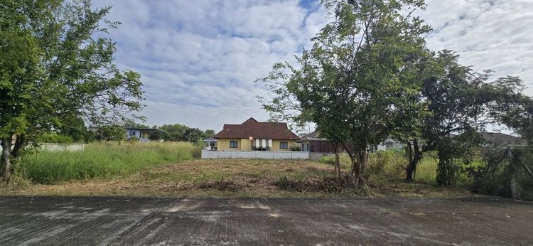 ใช่ ขายถูกที่ดิน100ตรว.ในโครงการรอยัลวิลหางดง รูปที่ 2