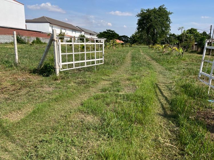 ขายหรือเช่าที่ดินร้อยเอ็ด ตรงข้ามโรงเรียบพระกุมาร