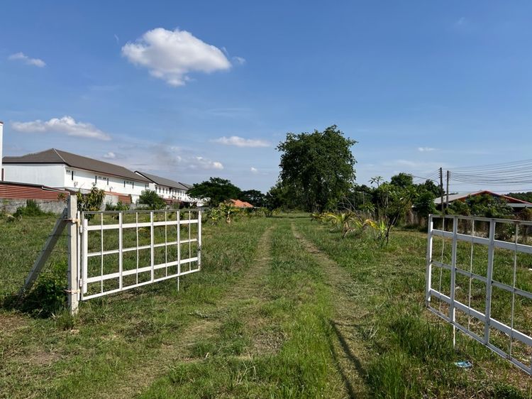 ขายหรือเช่าที่ดินร้อยเอ็ด ตรงข้ามโรงเรียบพระกุมาร รูปที่ 3