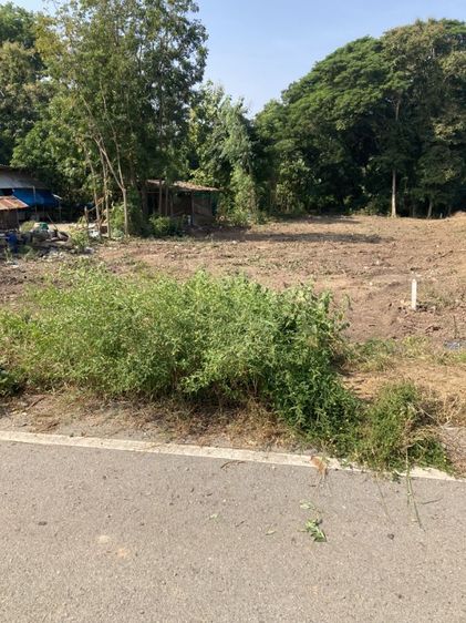 ใช่ ที่ดินเปล่า รูปที่ 2