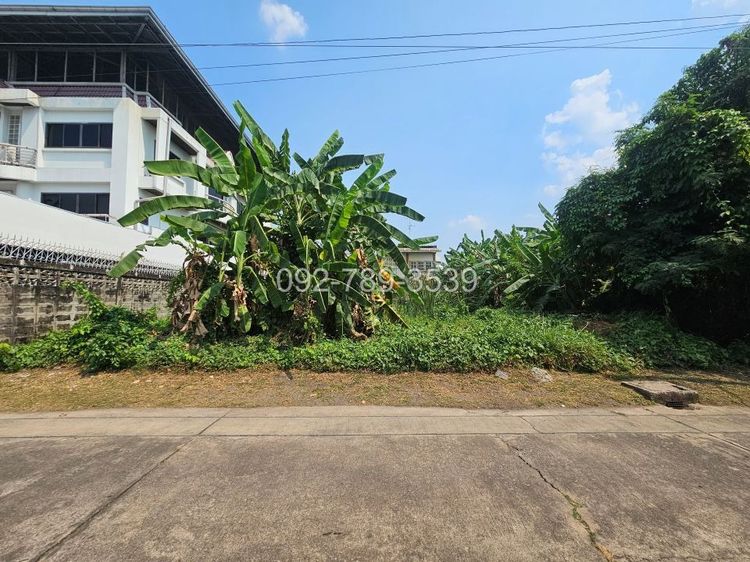 ขายที่ดินแจ้งวัฒนะ 100 ตร.วา หมู่บ้านเมืองทองนิเวศน์1 ซอยชมรม5 ใกล้รถไฟฟ้าสายสีชมพู สถานีแจ้งวัฒนะ14 รูปที่ 2