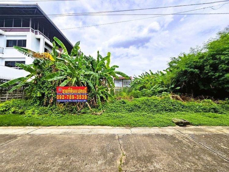 ขายที่ดินแจ้งวัฒนะ 100 ตร.วา หมู่บ้านเมืองทองนิเวศน์1 ซอยชมรม5 ใกล้รถไฟฟ้าสายสีชมพู สถานีแจ้งวัฒนะ14