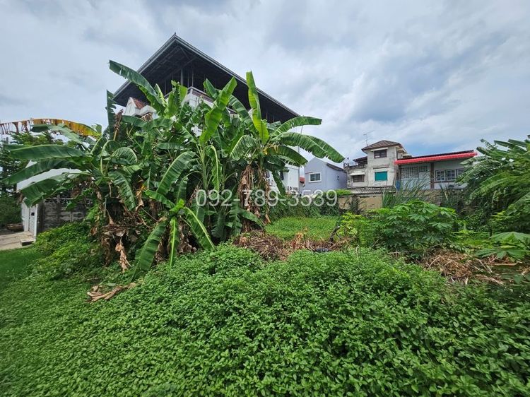 ขายที่ดินแจ้งวัฒนะ 100 ตร.วา หมู่บ้านเมืองทองนิเวศน์1 ซอยชมรม5 ใกล้รถไฟฟ้าสายสีชมพู สถานีแจ้งวัฒนะ14 รูปที่ 4