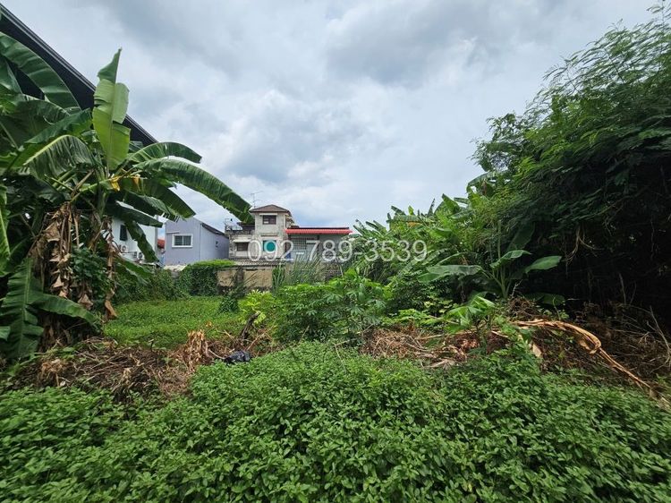 ขายที่ดินแจ้งวัฒนะ 100 ตร.วา หมู่บ้านเมืองทองนิเวศน์1 ซอยชมรม5 ใกล้รถไฟฟ้าสายสีชมพู สถานีแจ้งวัฒนะ14 รูปที่ 3