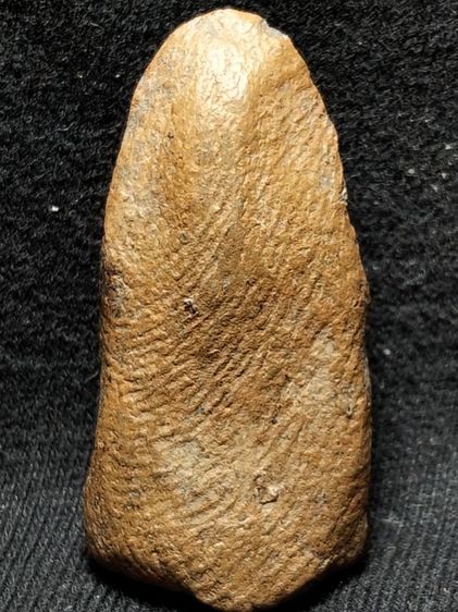 พระรอดลำพูนพิมพ์ใหญ่เนื้อโทนส้มเขียวในครับ รูปที่ 14