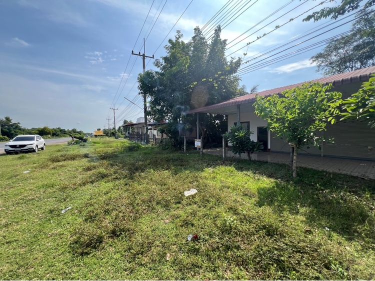 ขายด่วน ติดถนนหลวงสายวาปีพยัคฆ์ 2045 ที่ดินขนาดใหญ่ 262 ตารางวา  มีประตูม้วนเปิดกิจการได้ทันทีรถผ่านตลอด 