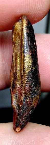 พระกรุ รูปที่ 4