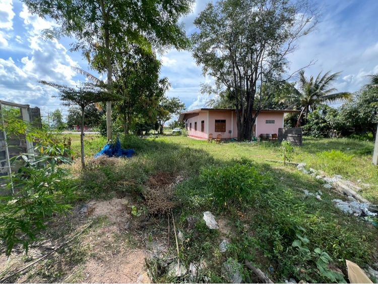 ขายด่วน เจ้าของลดเองหลายแสน บ้านติดถนนหลวง ทำร้านได้ทันที ที่ดิน 262 ตรว. ใกล้ชุมชน รูปที่ 2