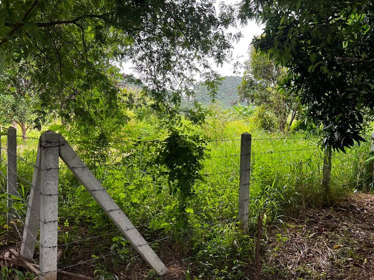 ขายที่ดินเปล่าใกล้วัดถ้ำเสือ รูปที่ 2