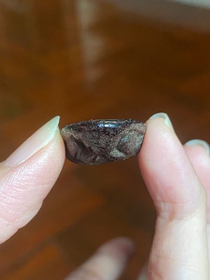 หลวงพ่อแก้ววัดเครือวัลย์ รูปที่ 6