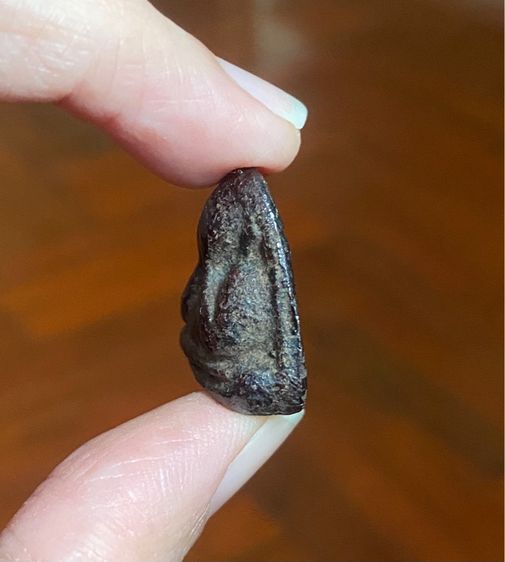 หลวงพ่อแก้ววัดเครือวัลย์ รูปที่ 3