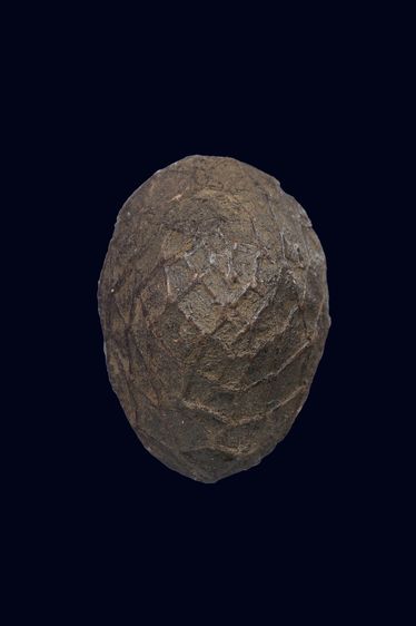 เบี้ยแก้มีตะกรุดด้านล่างปรอทเต็ม