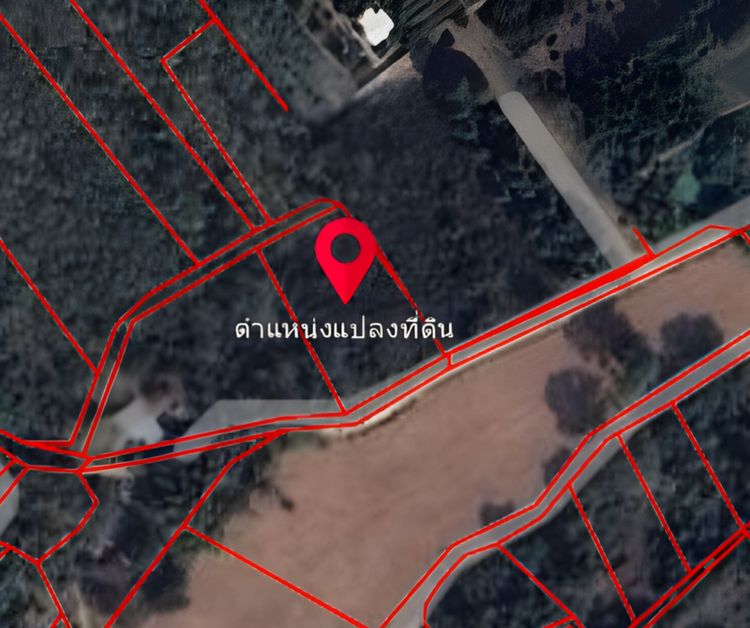 ขายที่ดินแปลงสวยทำเลดี เมืองพิษณุโลก (ต.วัดพริก) ใกล้ม.นเรศวร บรรยากาศร่มรื่น ใกล้แม่น้ำน่าน รูปที่ 3