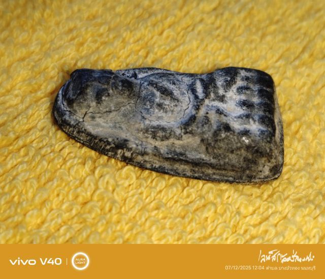 หลวงปู่ทวดพิมพ์พระรอด รูปที่ 2