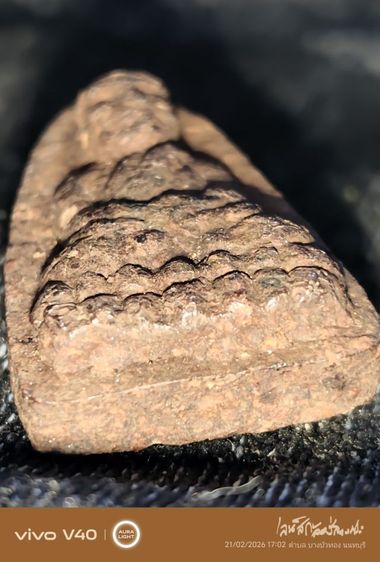 หลวงปู่ทวดเนื้อว่านแห้งไปวัดห้วย รูปที่ 4