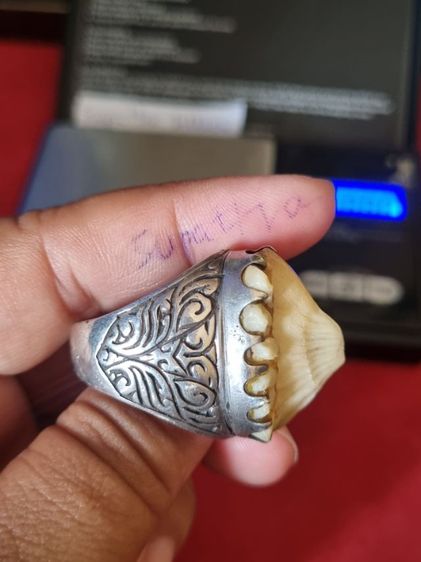 แหวนเงินหัวกระเบน รูปที่ 2