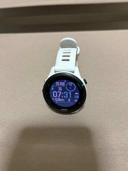 Garmin 255S music