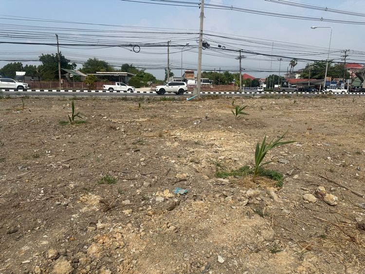 ขายที่ดินติดถนน2ด้าน 6เลน1ด้าน รูปที่ 4