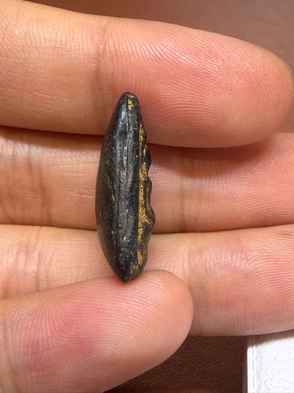 พระเก่า รูปที่ 3