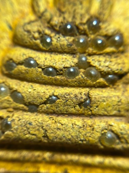 พระสมเด็จพิมพ์ปกโพธิ์อกครุฑหลังเขียนอักษรมงคลทรัพย์แสนล้าน รูปที่ 10