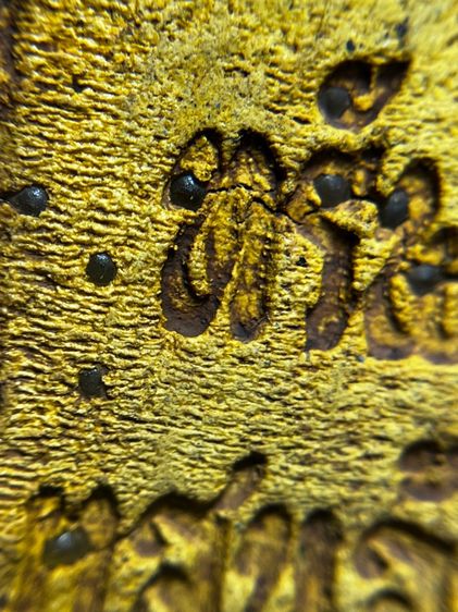 พระสมเด็จพิมพ์ปกโพธิ์อกครุฑหลังเขียนอักษรมงคลทรัพย์แสนล้าน รูปที่ 15