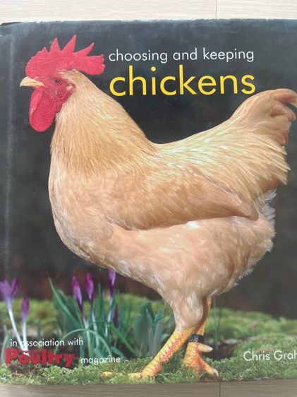 หนังสือ รูปที่ 14