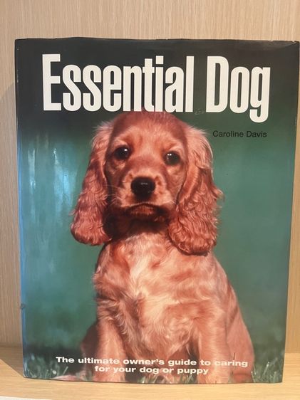 หนังสือ รูปที่ 2