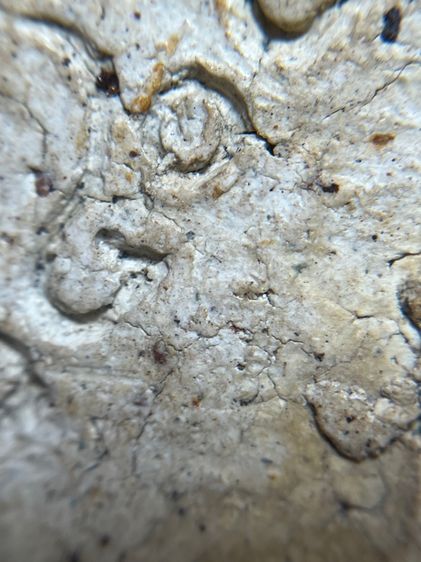 สมเด็จวัดระฆังพิมพ์ใหญ่สังฆาฏิเล็กหลังพ.ศ.2404 รูปที่ 15