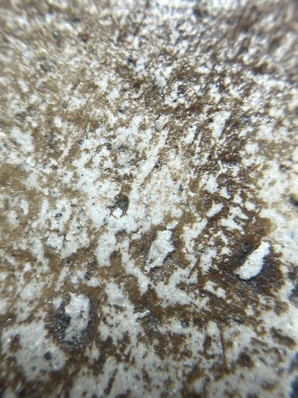 พระสมเด็จวัดระฆังพิมพ์ใหญ่พิมพ์ใหญ่หลวงวิจารณ์ รูปที่ 12