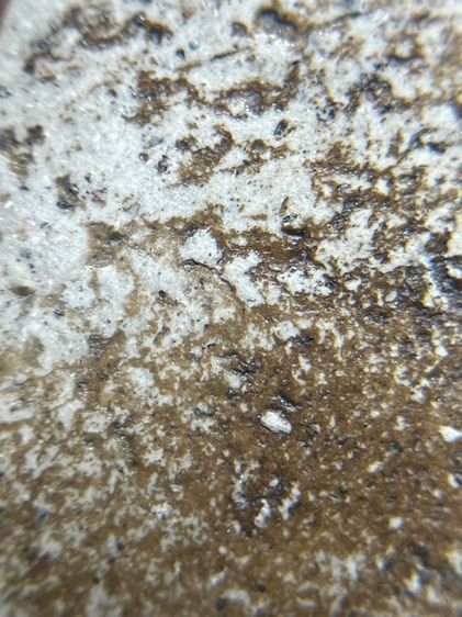 พระสมเด็จวัดระฆังพิมพ์ใหญ่พิมพ์ใหญ่หลวงวิจารณ์ รูปที่ 11