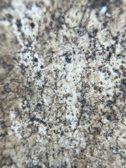 พระสมเด็จวัดระฆังพิมพ์ใหญ่ เม็ดมลสารรอบองค์ รูปที่ 13