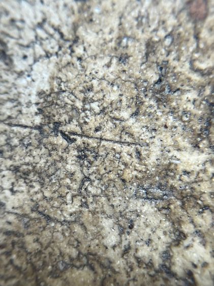 พระสมเด็จวัดระฆังพิมพ์ใหญ่ เม็ดมลสารรอบองค์ รูปที่ 11