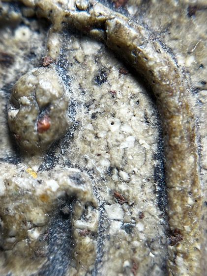 พระสมเด็จวัดระฆังพิมพ์ใหญ่ เม็ดมลสารรอบองค์ รูปที่ 7