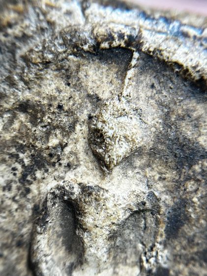 พระสมเด็จวัดระฆังพิมพ์ใหญ่ เก่าสวย รูปที่ 8