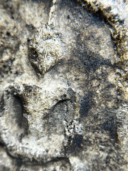 พระสมเด็จวัดระฆังพิมพ์ใหญ่ เก่าสวย รูปที่ 5