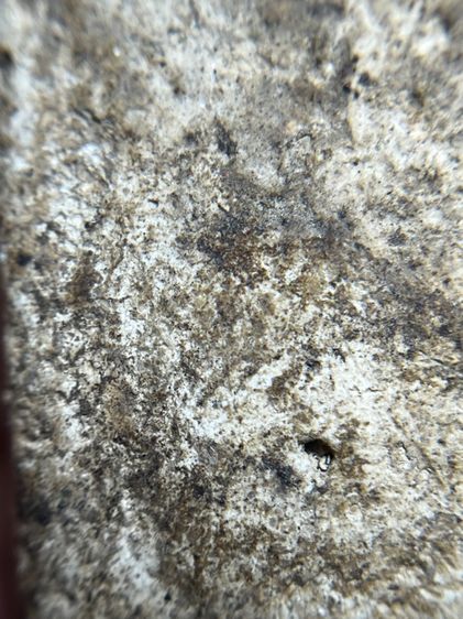 พระสมเด็จวัดระฆังพิมพ์ใหญ่ เก่าสวย รูปที่ 12