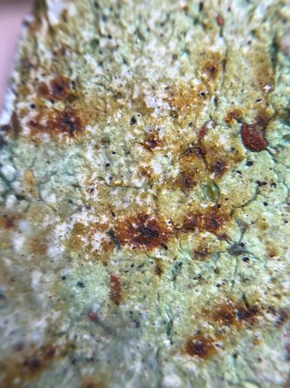 พระสมเด็จพิมพ์ใหญ่เกศทะลุซุ้ม รูปที่ 12