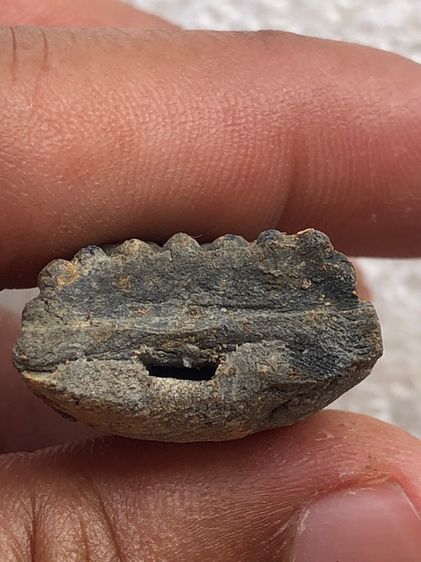 หลวงพ่อทวด วัดช้างให้  รูปที่ 6