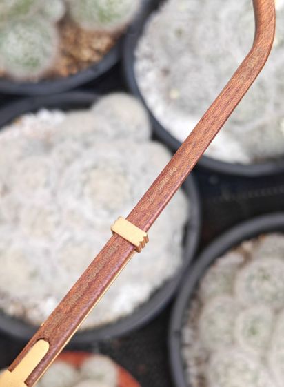 แว่น​ Vintage​ Porta Romana ขาไม้​ hand made in italy​ หายากมาก​ ราคาแบ่งปันครับ รูปที่ 17