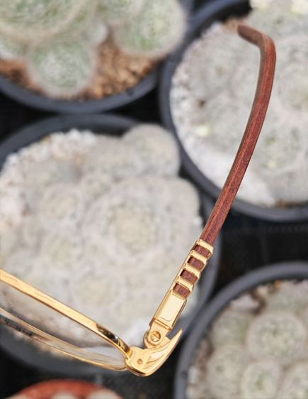 แว่น​ Vintage​ Porta Romana ขาไม้​ สวยจัด​ ราคาแบ่งปันครับ รูปที่ 15