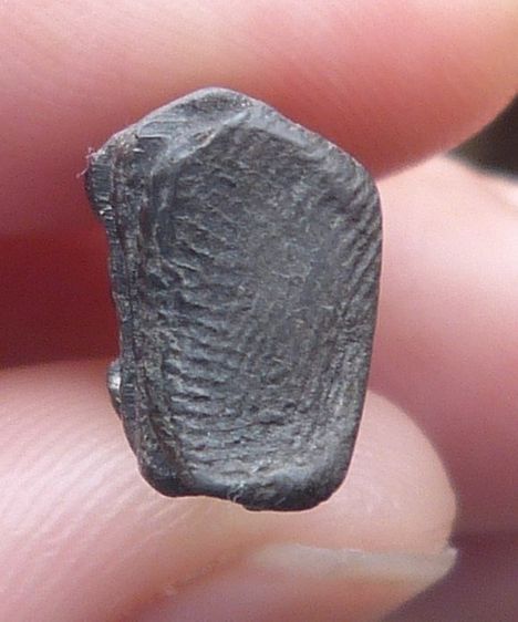 พระรอดเนื้อดำ รูปที่ 3