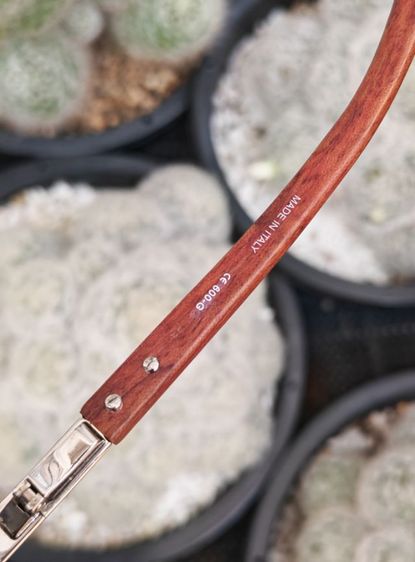 แว่น​ Vintage​ Porta Romana ขาไม้​ สวยมาก​ ราคาแบ่งปันครับ รูปที่ 17