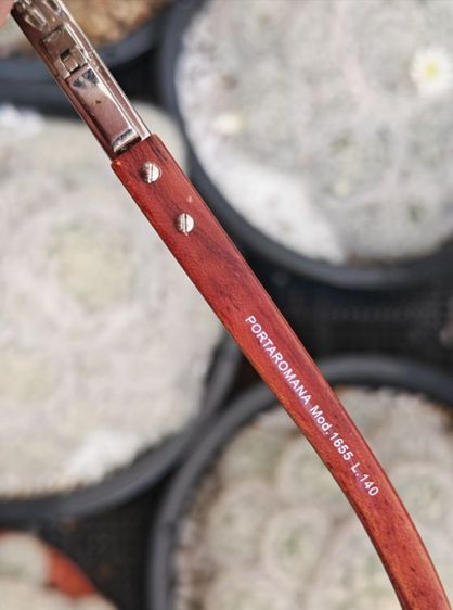 แว่น​ Vintage​ Porta Romana ขาไม้​ สวยมาก​ ราคาแบ่งปันครับ รูปที่ 16