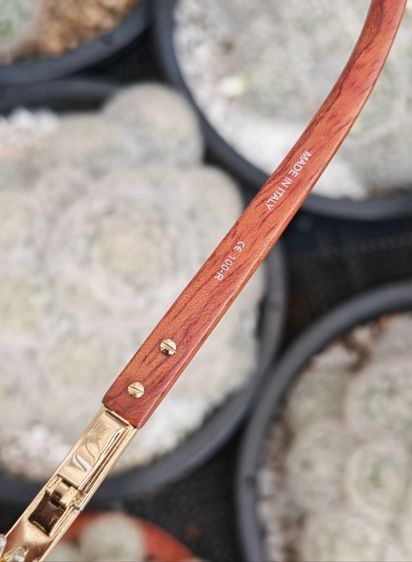 แว่น​ Vintage​ Porta Romana ขาไม้​ สวยมาก​ ราคาแบ่งกันใช้ครับ รูปที่ 17