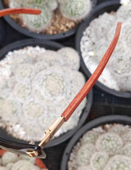 แว่น​ Vintage​ Porta Romana ขาไม้​ สวยมาก​ ราคาแบ่งกันใช้ครับ รูปที่ 13